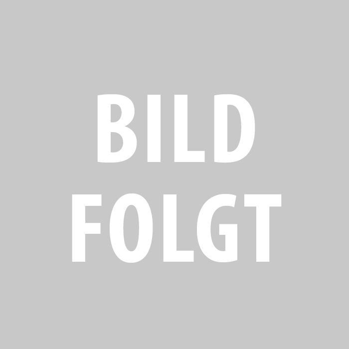 Schutzrohr 500 mm mit Wandhalter und Lastaufnahme der Innenrohre / doppelt - klappbar